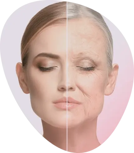 Longevity