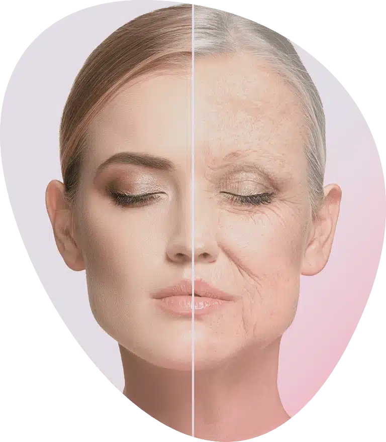 Skeeneffect — všetky kategórie produktov